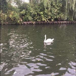 Meet your Posher, Tracy